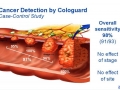 colon-for-physicians_page_44